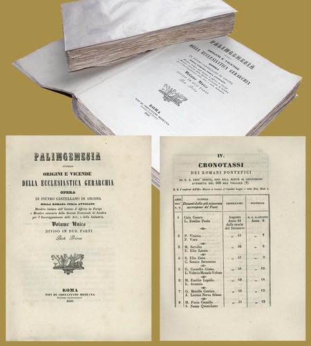 Palingenesia origini vicende - origini,